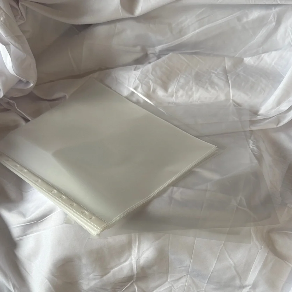 10 Clear Document Sleeves